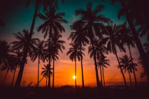 Top Quality Printers in Darwin, Alice Springs - Colemans Printing